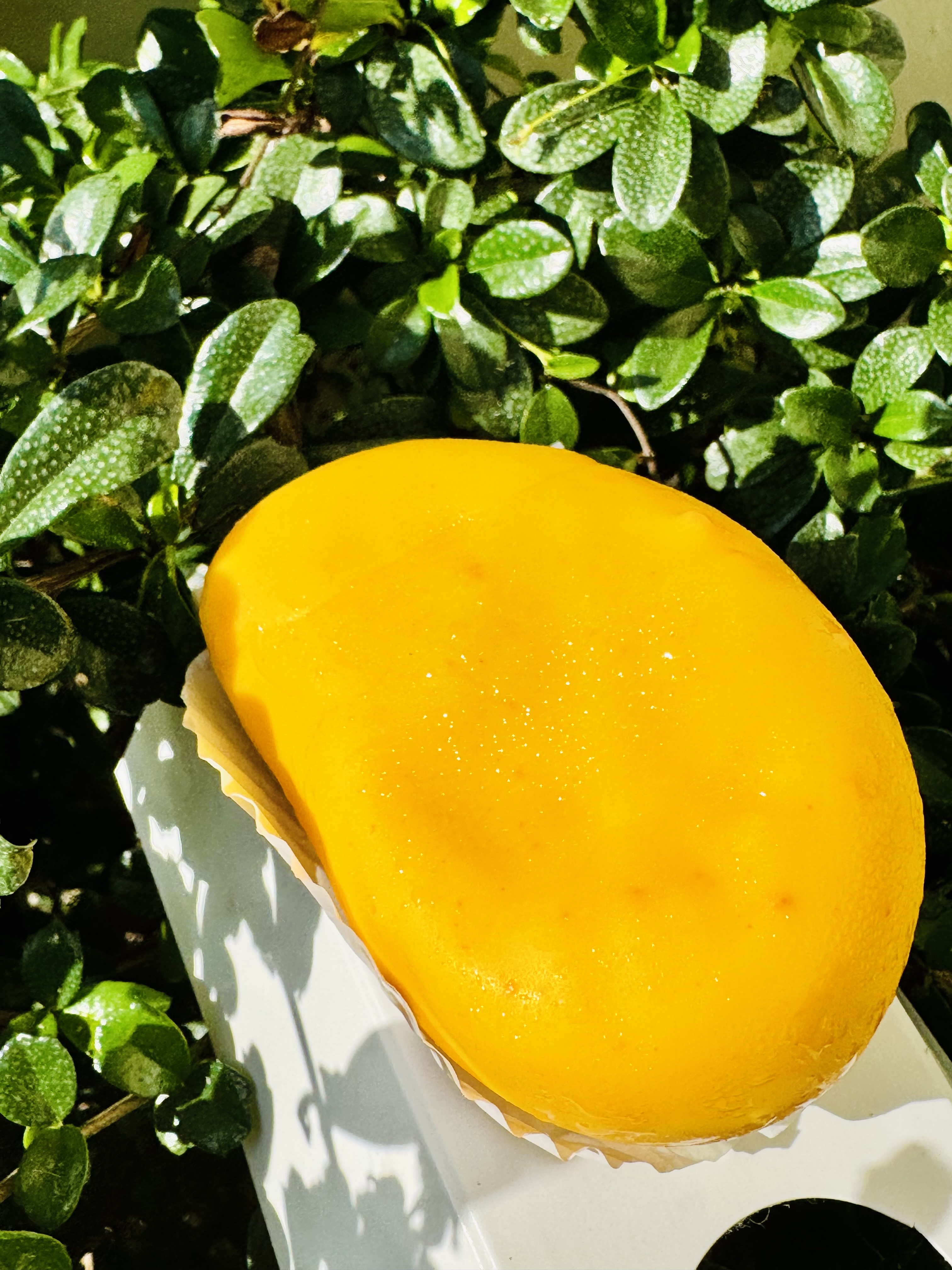 Fruit mousse mango